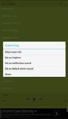 Play Frog Sounds Fun
