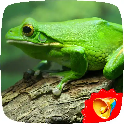Play frog sounds APK Play frog sounds APK
