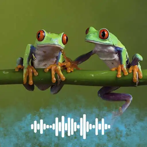 Free play online Frog Sounds Ringtones APK