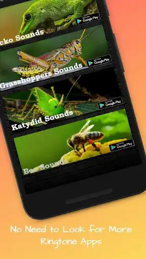 Play frog sounds as an online game frog sounds with UptoPlay