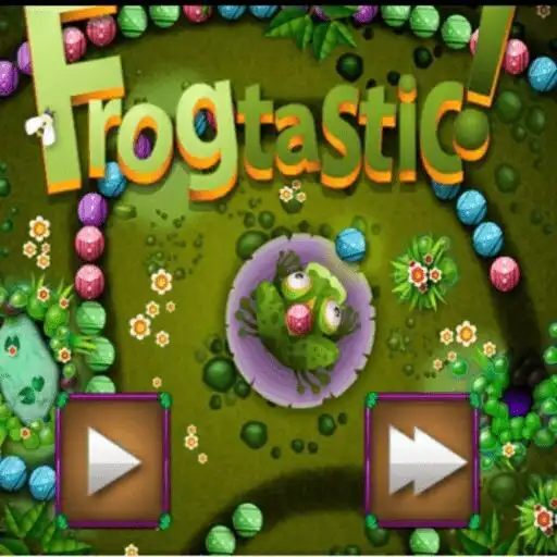 Play Frog State APK