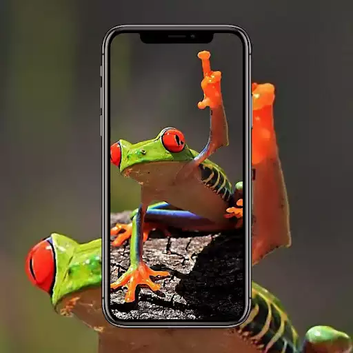 Play Frog Wallpaper