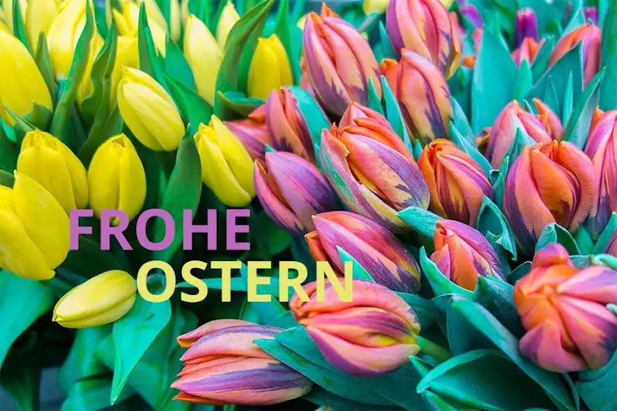 Play Frohe Ostern Bilder  and enjoy Frohe Ostern Bilder with UptoPlay