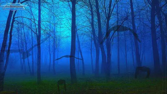 Play From the Darkness of Halloween