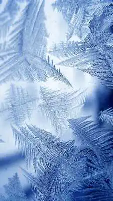 Play Frost Live Wallpaper