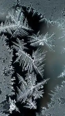 Play Frost Live Wallpaper