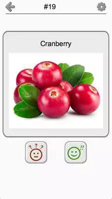 Play Fruit and Vegetables, Nuts  Berries: Picture-Quiz