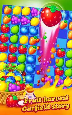 Play fruit  cat match 3