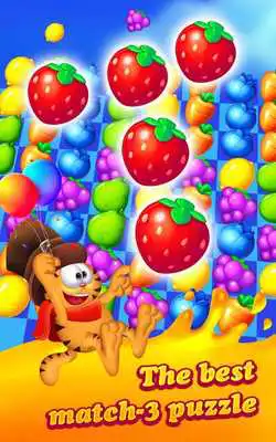Play fruit  cat match 3