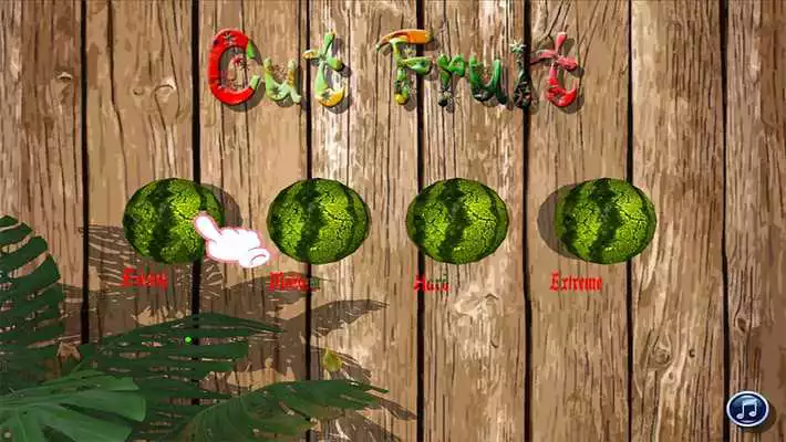 Play Fruit Cut 3D