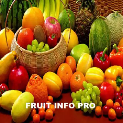 Free play online Fruit Info Pro APK