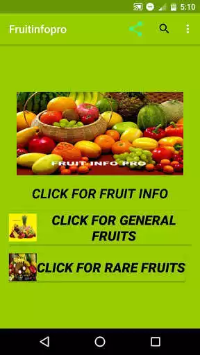 Play Fruit Info Pro