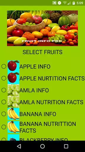 Play Fruit Info Pro