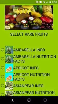 Play Fruit Info Pro