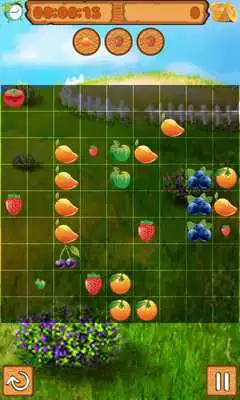 Play Fruition Lines Play Fruition Lines