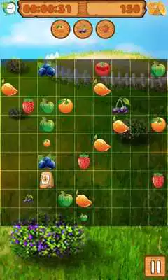 Play Fruition Lines Play Fruition Lines