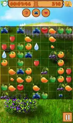 Play Fruition Lines Play Fruition Lines