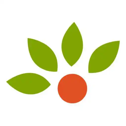 Play Fruitjo APK