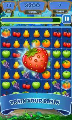 Play Fruit Link Deluxe