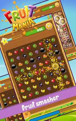 Play Fruit Mania Frenzy