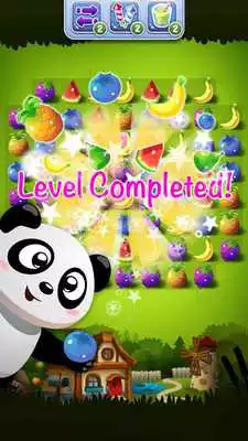 Play Fruit Panda