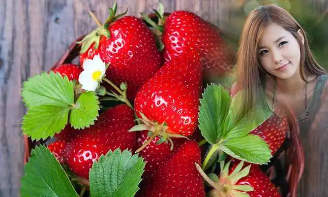 Play Fruit Photo Maker