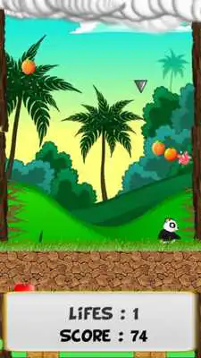 Play Fruit Rain