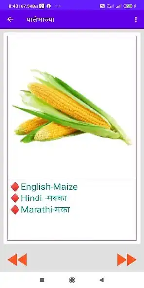 Play Fruits and Vegetables Info - English,Hindi,Marathi as an online game Fruits and Vegetables Info - English,Hindi,Marathi with UptoPlay