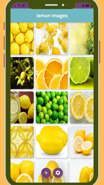 Play Fruits Images and enjoy Fruits Images with UptoPlay Play Fruits Images and enjoy Fruits Images with UptoPlay