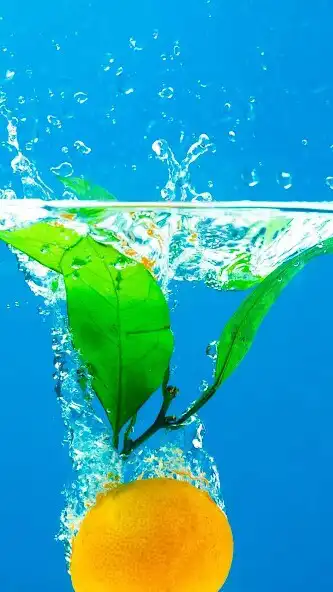 Play Fruits in water Wallpaper  and enjoy Fruits in water Wallpaper with UptoPlay