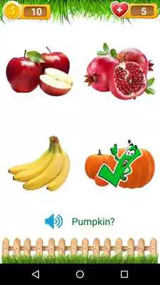 Play Fruits Learning