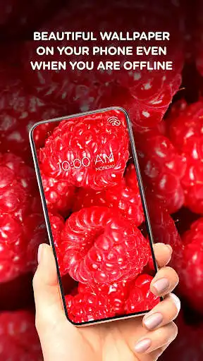 Play Fruits offline wallpapers  and enjoy Fruits offline wallpapers with UptoPlay