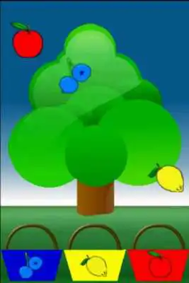 Play Fruit Sorter Lite