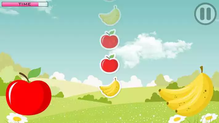 Play Fruit Sorting