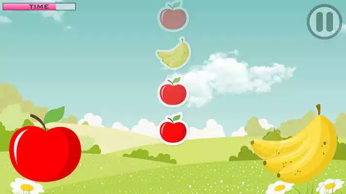 Play Fruit Sorting