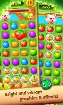 Play Fruit Splash Legend Play Fruit Splash Legend