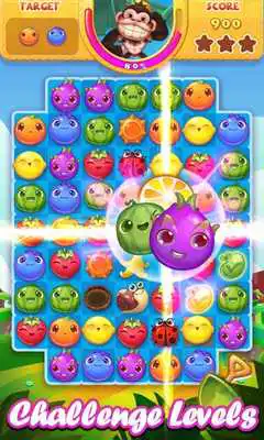 Play Fruits Splash