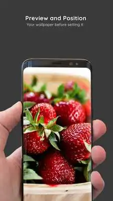 Play Fruits Wallpapers