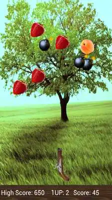 Play Fruit Target