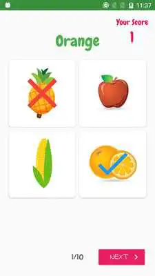 Play Fruit  Veggie Names