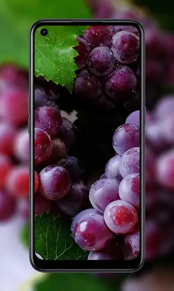 Play fruit wallpaper HD 4k and enjoy fruit wallpaper HD 4k with UptoPlay Play fruit wallpaper HD 4k and enjoy fruit wallpaper HD 4k with UptoPlay