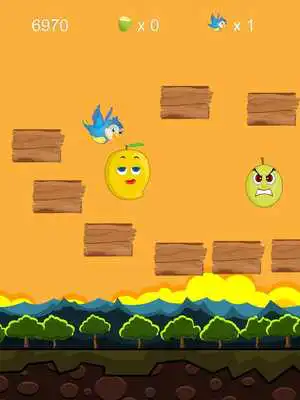 Play Fruity Bird Play Fruity Bird