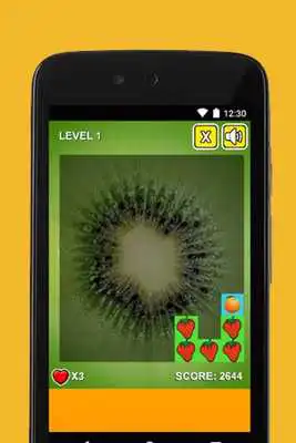 Play Fruity Ice Scoot Play Fruity Ice Scoot