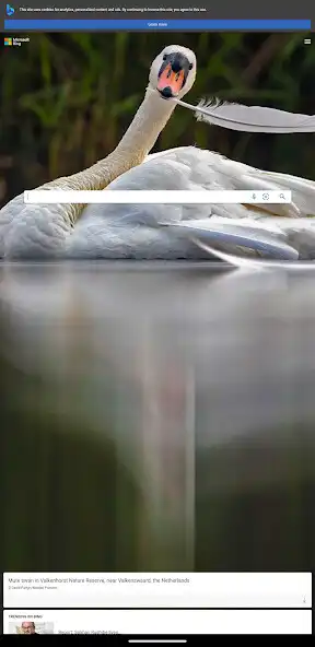 Play FSIN as an online game online FSIN with UptoPlay Play FSIN as an online game FSIN with UptoPlay