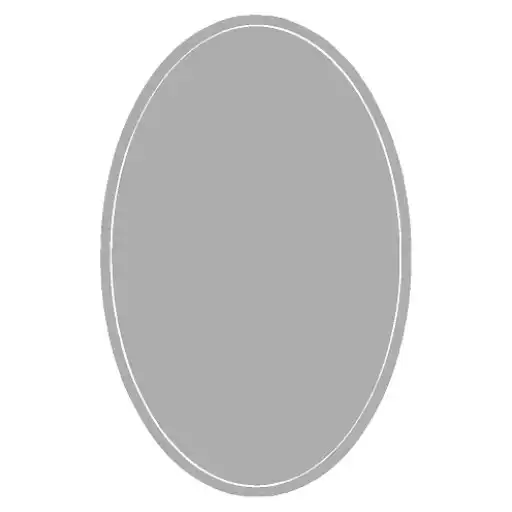 Play FS Mirror APK