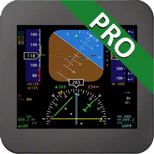 Play FsPFDPanel Pro APK