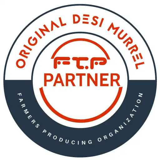 Play FTP Store and enjoy FTP Store with UptoPlay Play FTP Store and enjoy FTP Store with UptoPlay