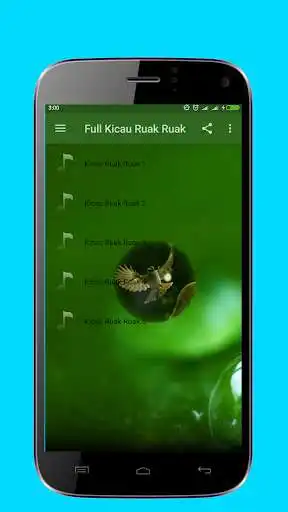 Play Full Chirping Birds Ruak-Ruak