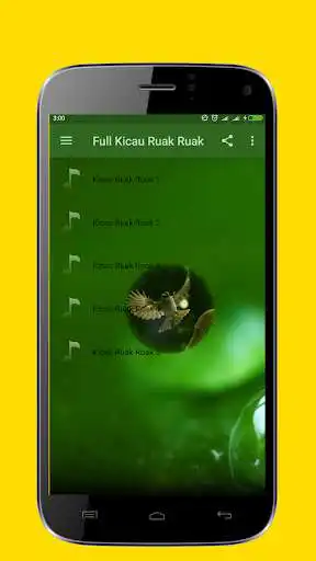 Play Full Chirping Birds Ruak-Ruak