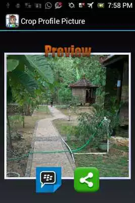 Play Full Display Profile w/o Crop